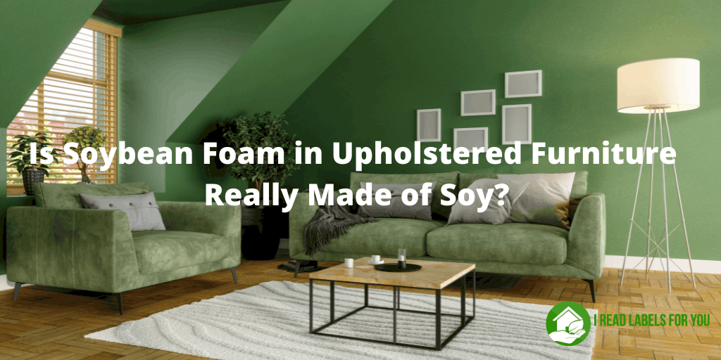 Soybean Foam: Furniture Shopping