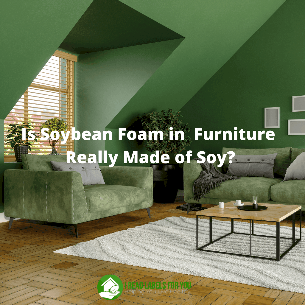 Soybean Foam: Furniture Shopping