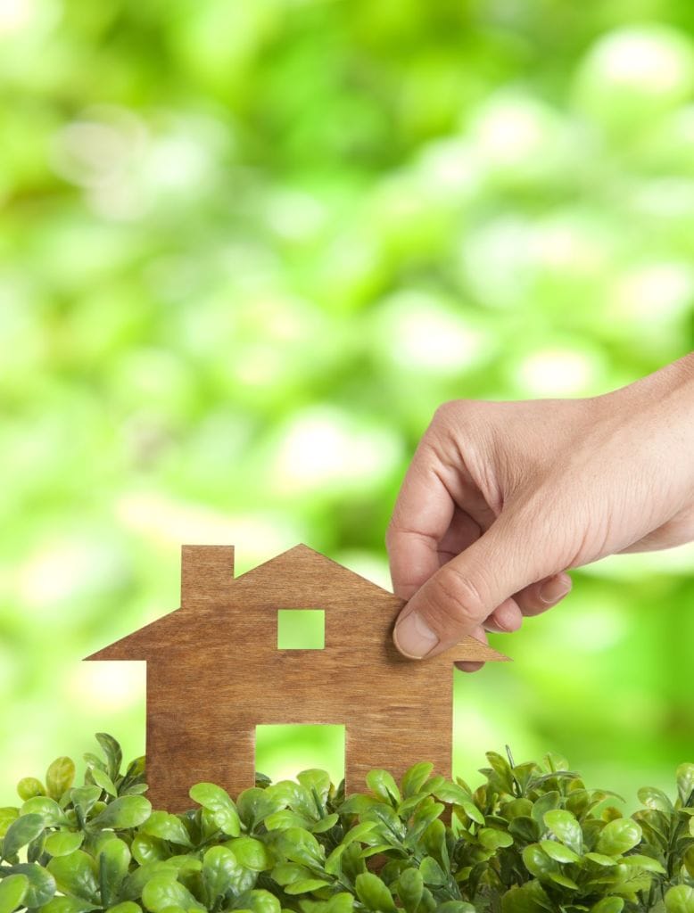 NonToxic Upholstered Furniture I Read Labels For You