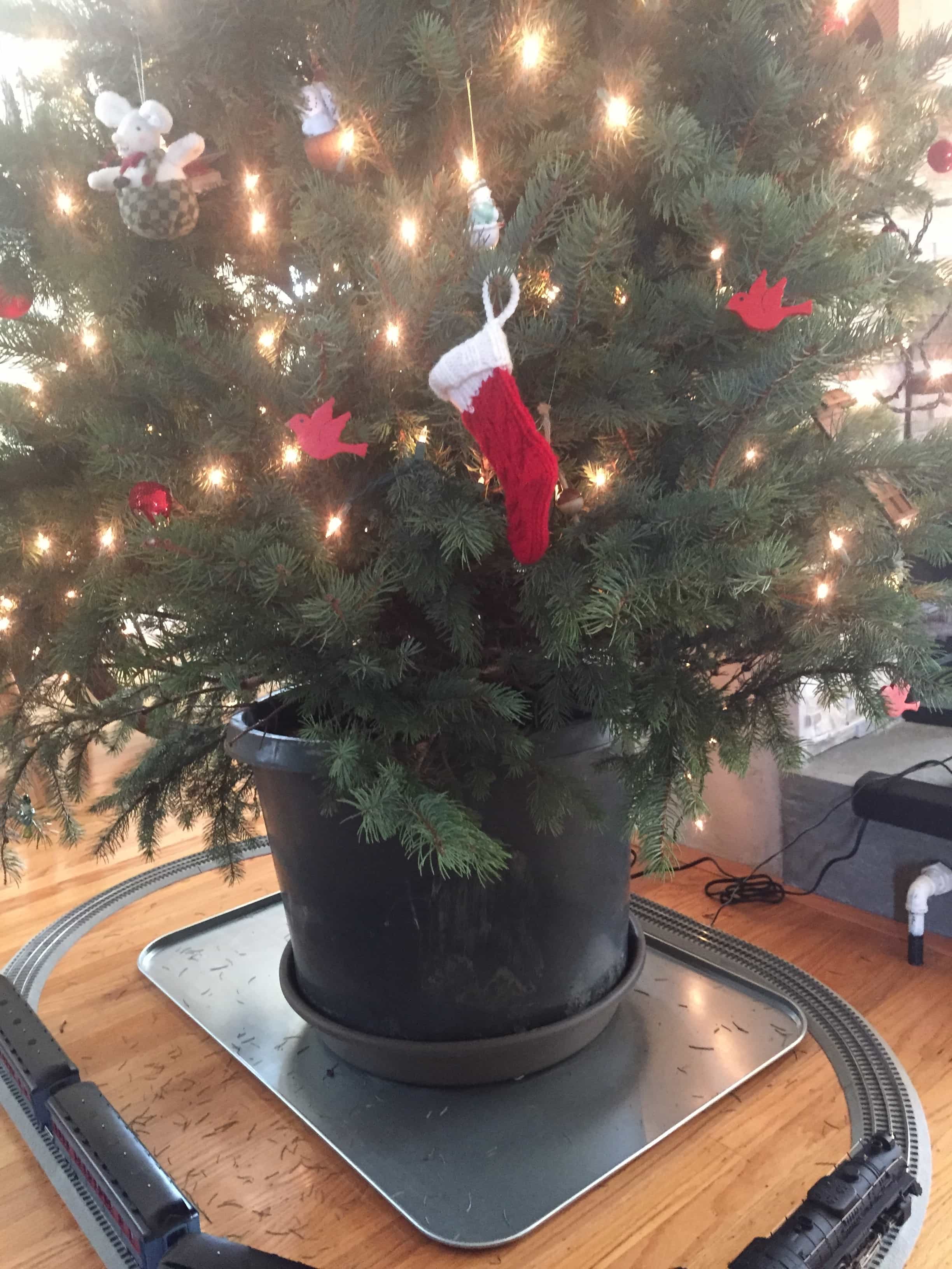 NonToxic Christmas Tree I Read Labels For You