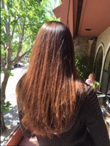 Hair Dyes
