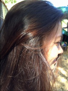 Hair Dyes