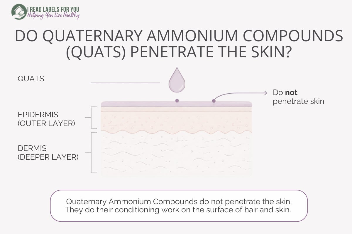 I Read Labels For You infographic answering the question: Do Quaternary Ammonium Compounds penetrate skin