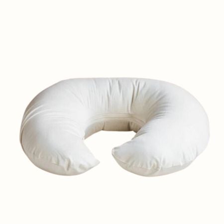 I Read Labels For You opinion on Holy Lamb Organics Nursing Pillow