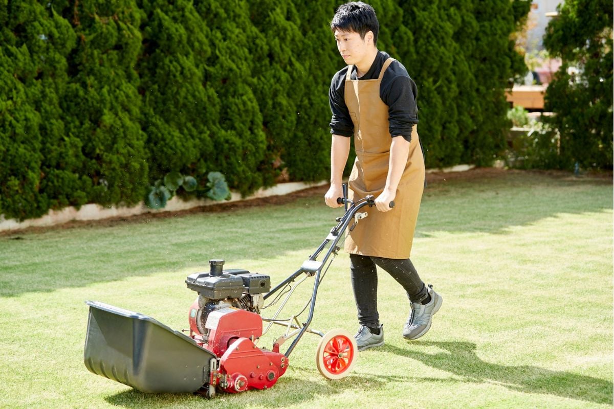 I Read Labels For You suggestions for Best Lawn Care Products