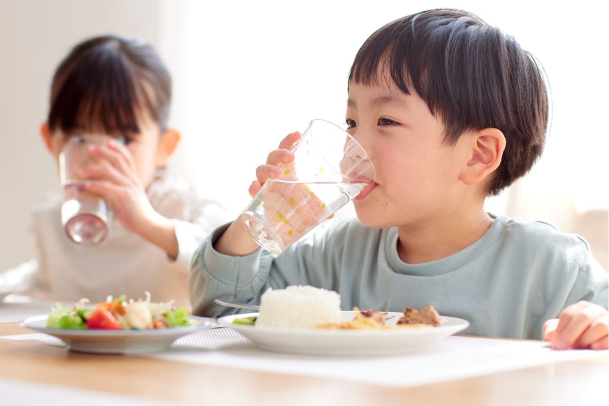 I Read Labels For You opinion on professionally customized water filter for your home.