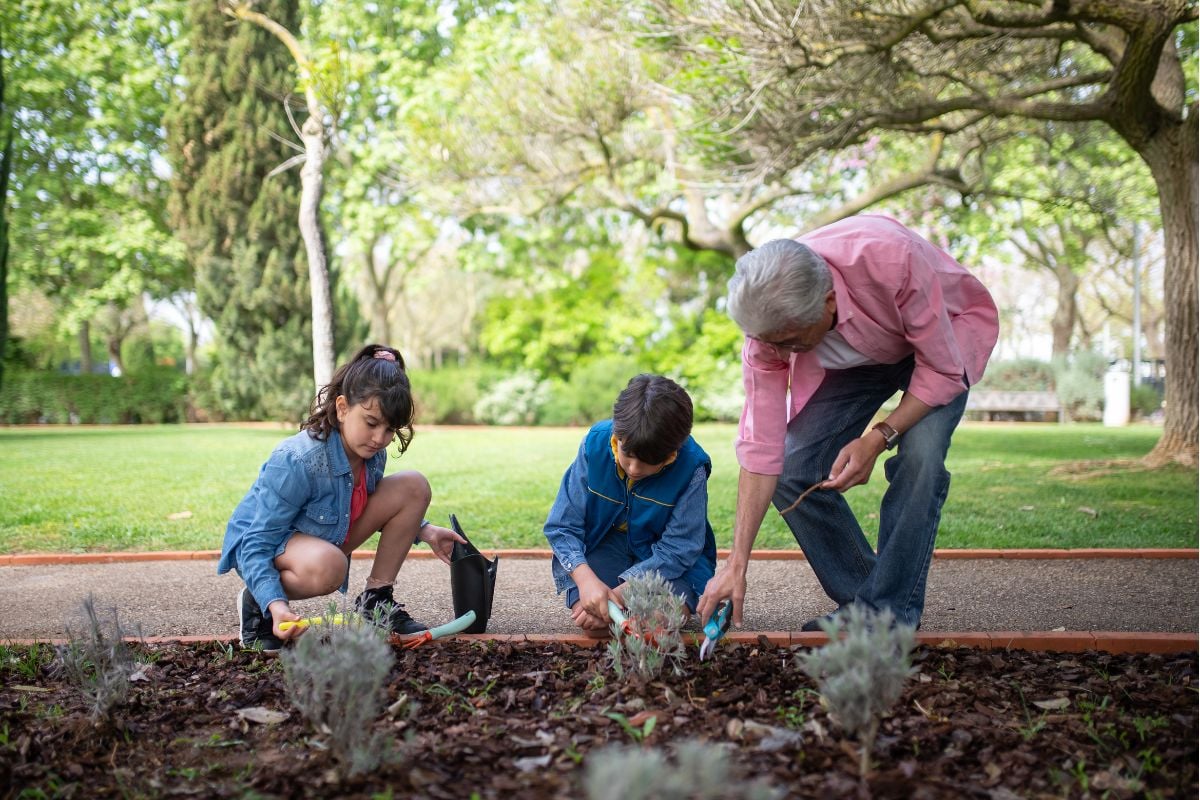 I Read Labels For You opinion on How To Safely Remove Weeds From Lawn