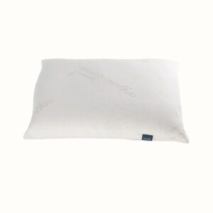 I Read Labels For You opinion on Naturepedic PLA Pillow with Organic Cotton Fabric