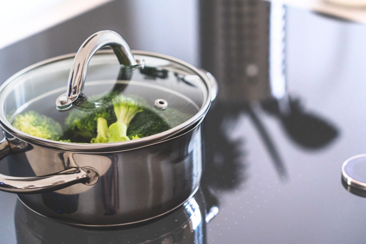 I Read Labels For You Review for Titanium Stainless Steel Cookware 316Ti