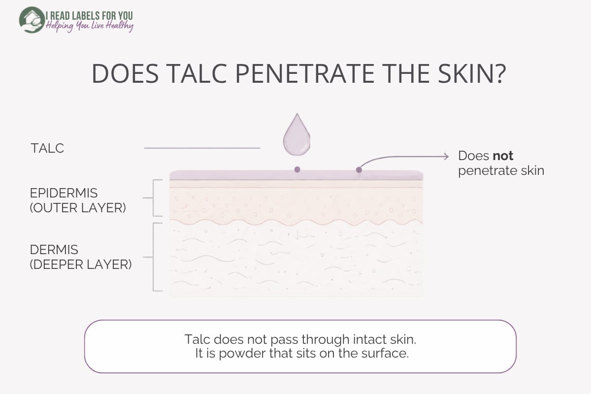Infographic depicting skin layers and answering the question Does talc penetrate the skin